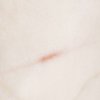 Портал DALI, Crema Portugues (Crumar) - 